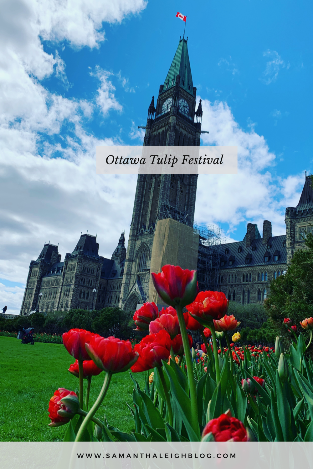 Ottawa Tulip Festival