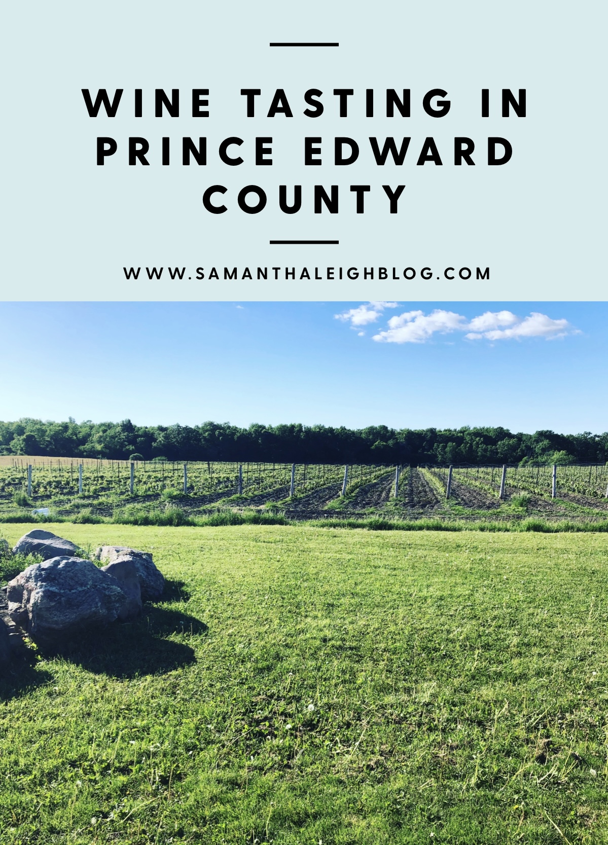 Wine Tasting in Prince Edward County